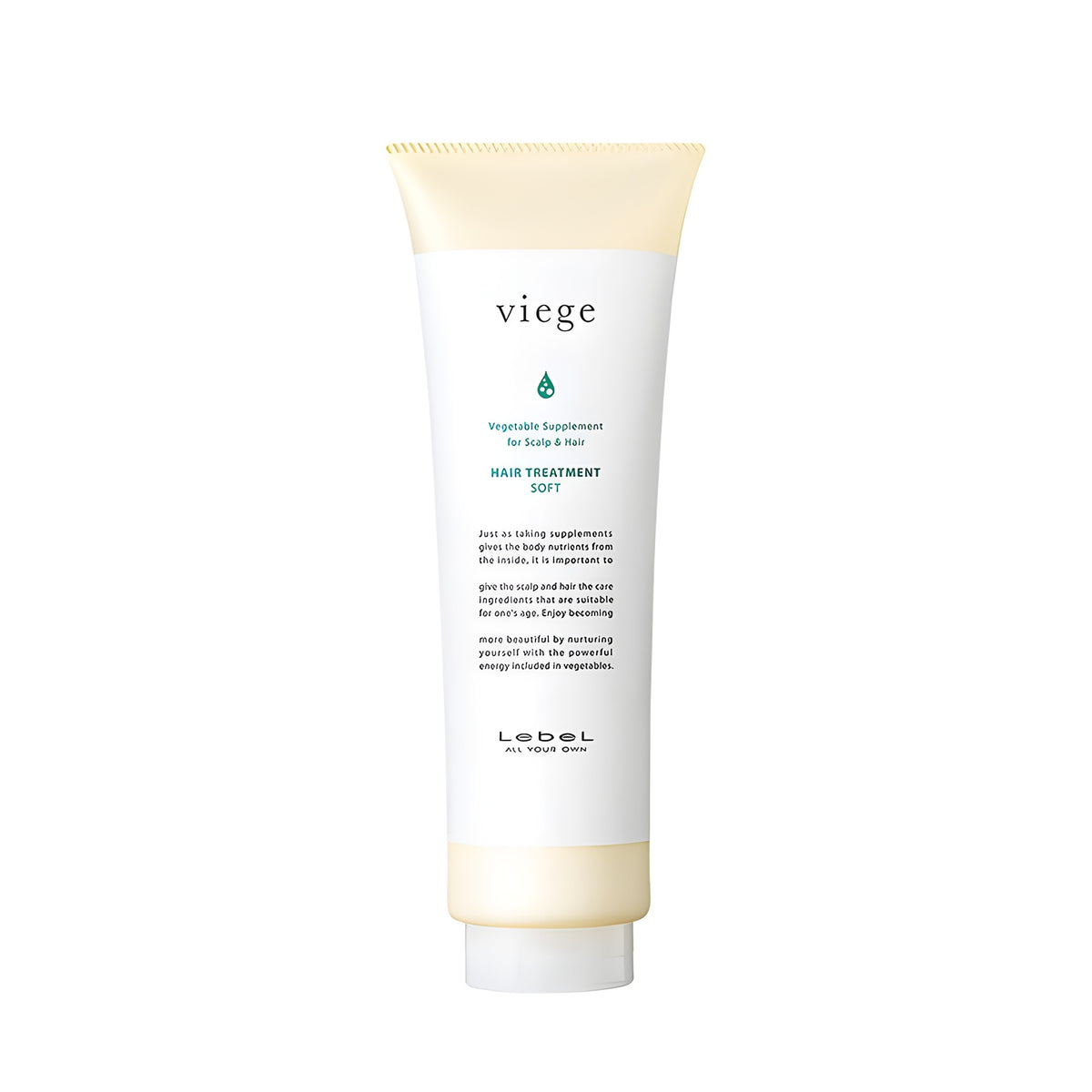 Lebel viege Hair Treatment S