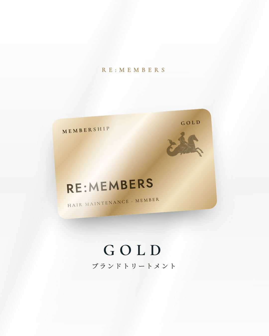 RE:MEMBERS 9 VISITS PLAN