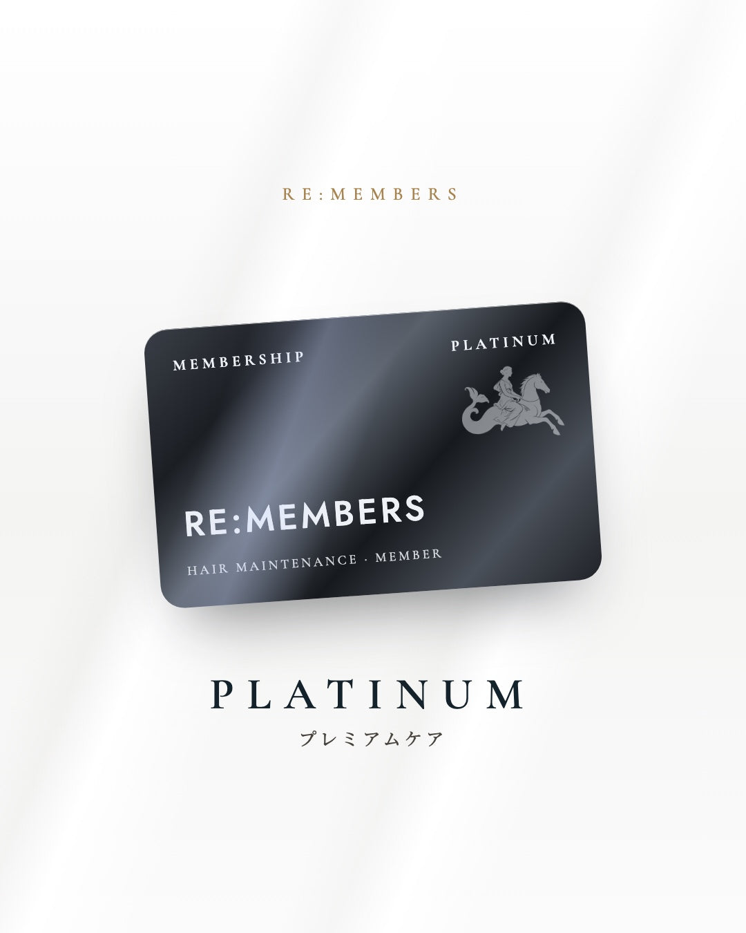 RE:MEMBERS 9 VISITS PLAN