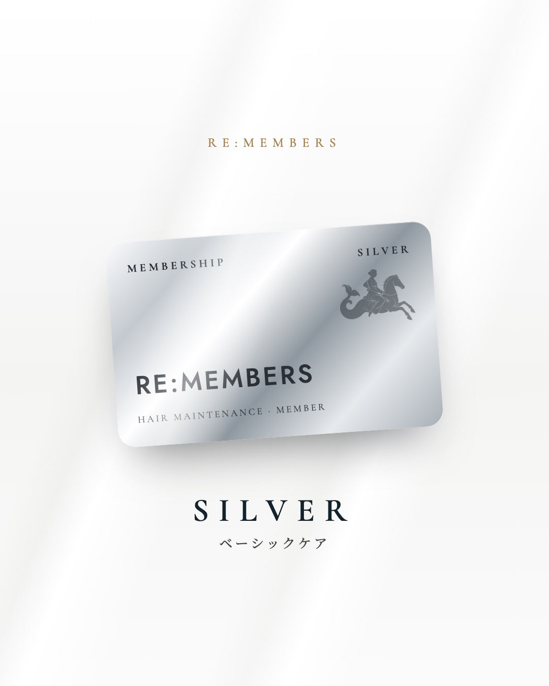 RE:MEMBERS 12 VISITS PLAN
