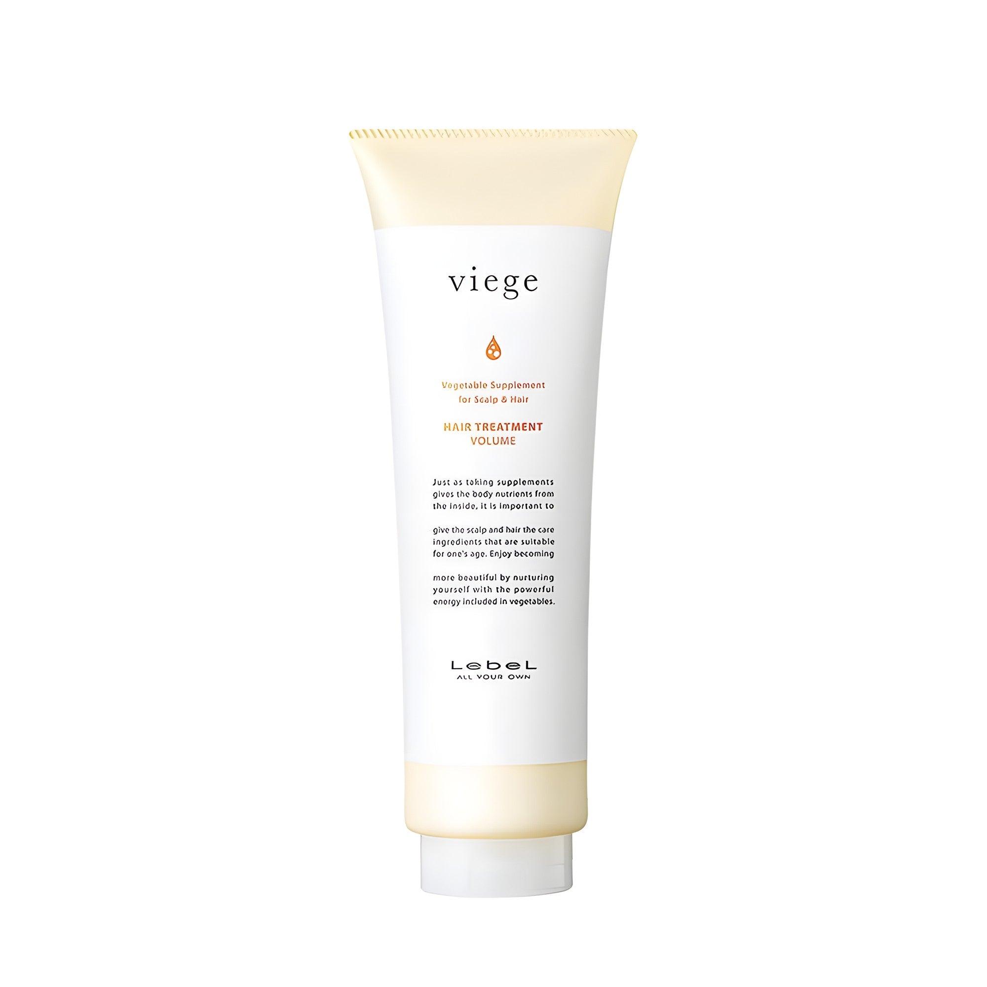 Lebel ヴィージェ ヘアトリートメント V
