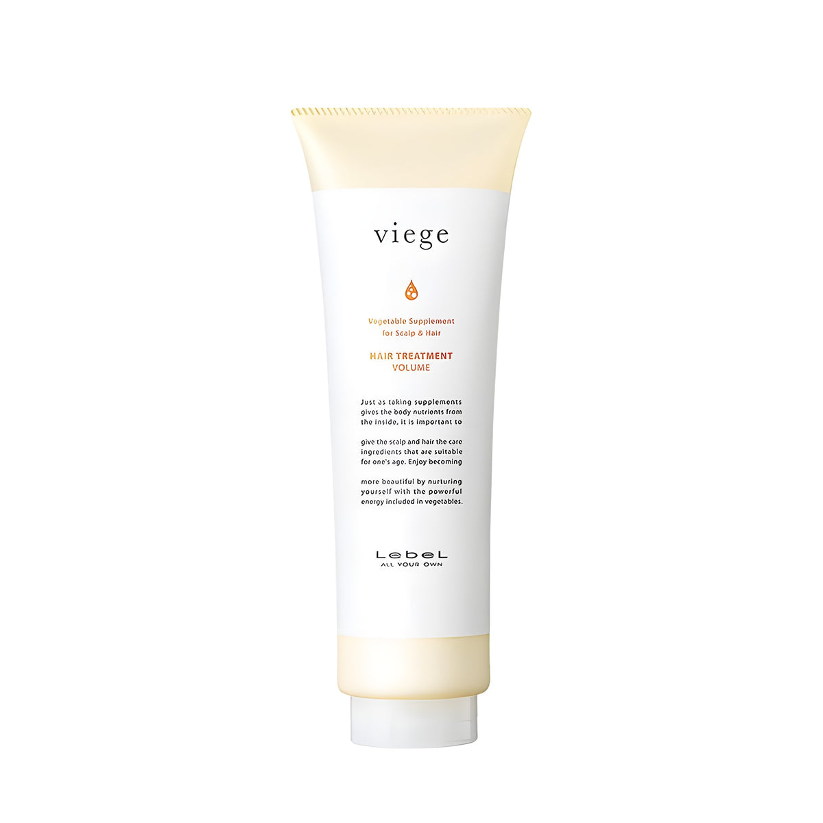 Lebel ヴィージェ ヘアトリートメント V