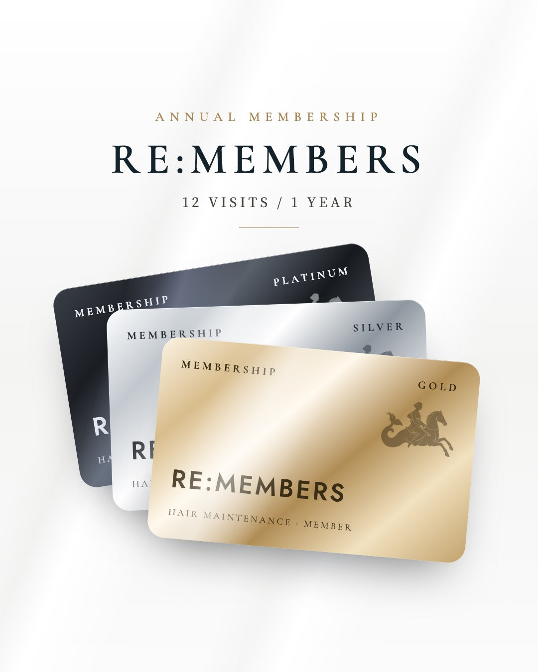 RE:MEMBERS 12 VISITS PLAN